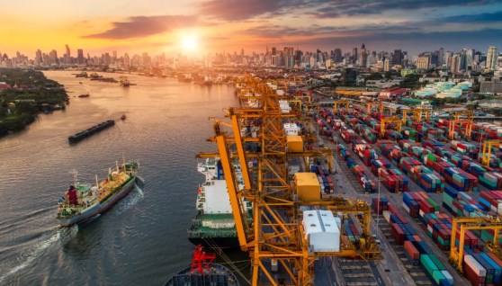 التصدير للأسواق العالمية